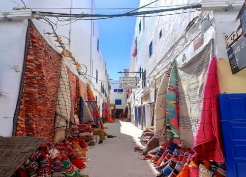 Full day excursion to Essaouira