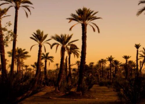 5 days from Fez to Marrakech via the Sahara desert